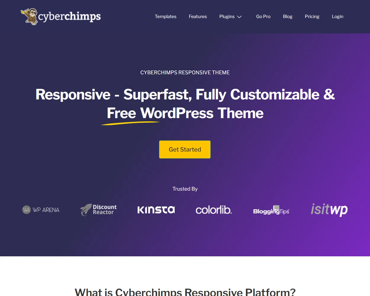 CyberChimps features