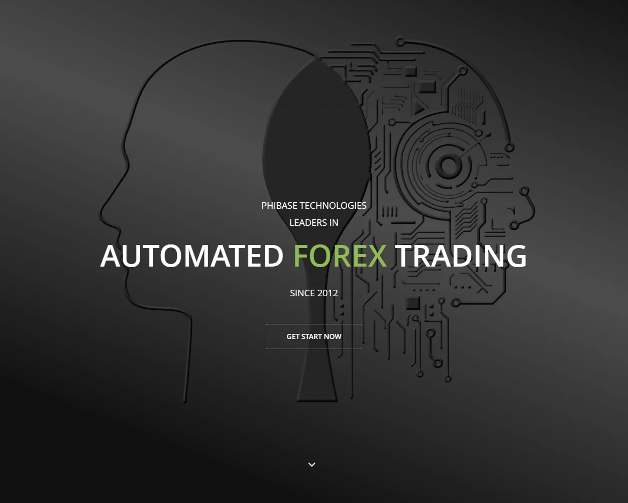 Phibase Synergy EA features