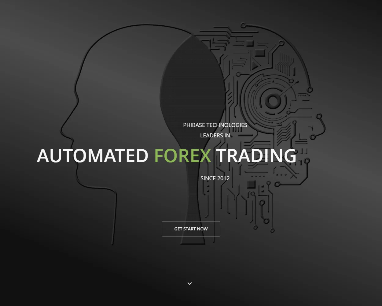 Phibase Ray Scalper EA features