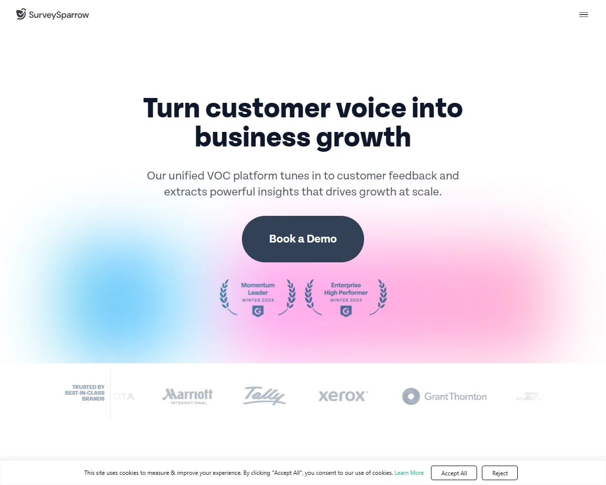 SurveySparrow features