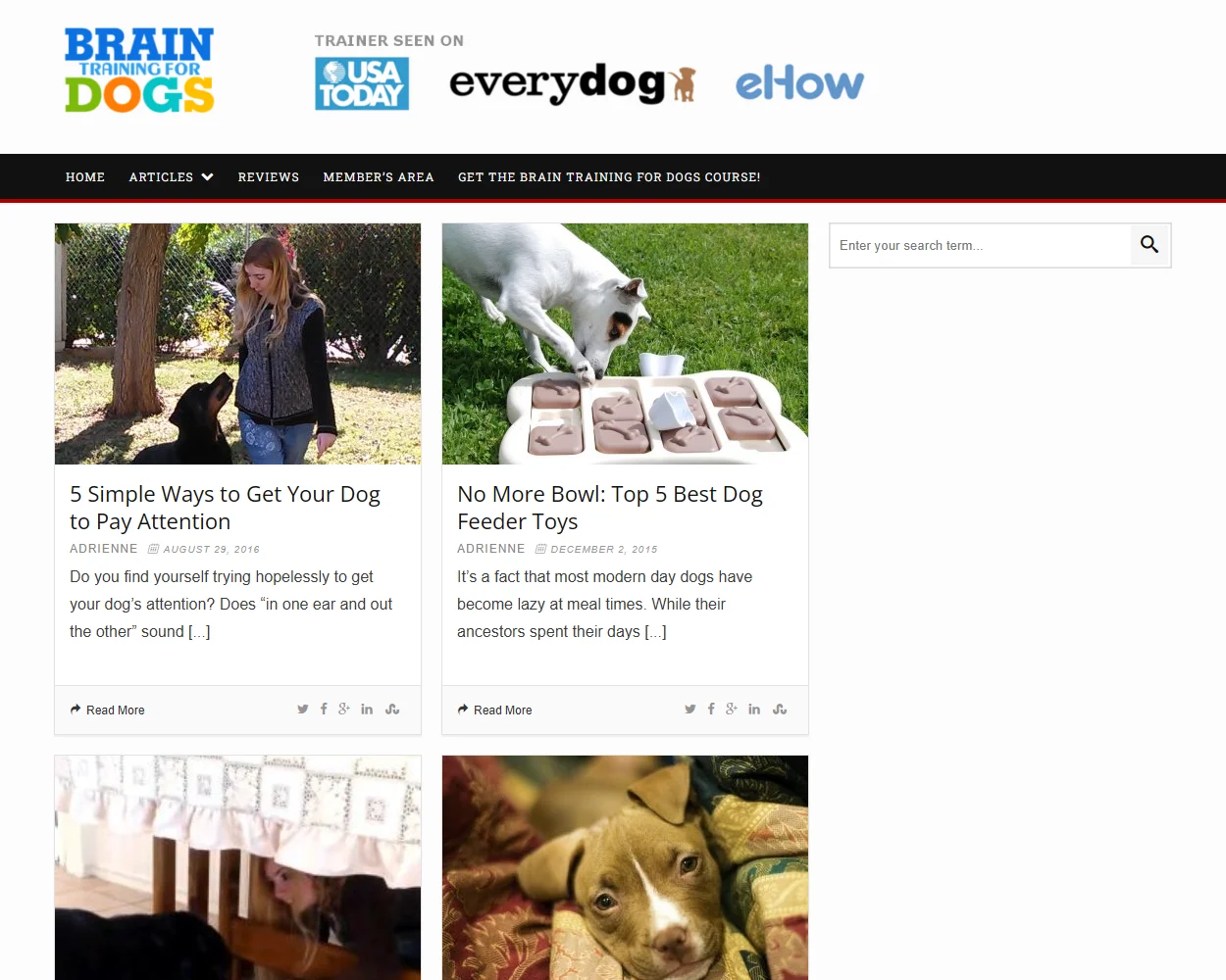 Brain Training 4 Dogs features