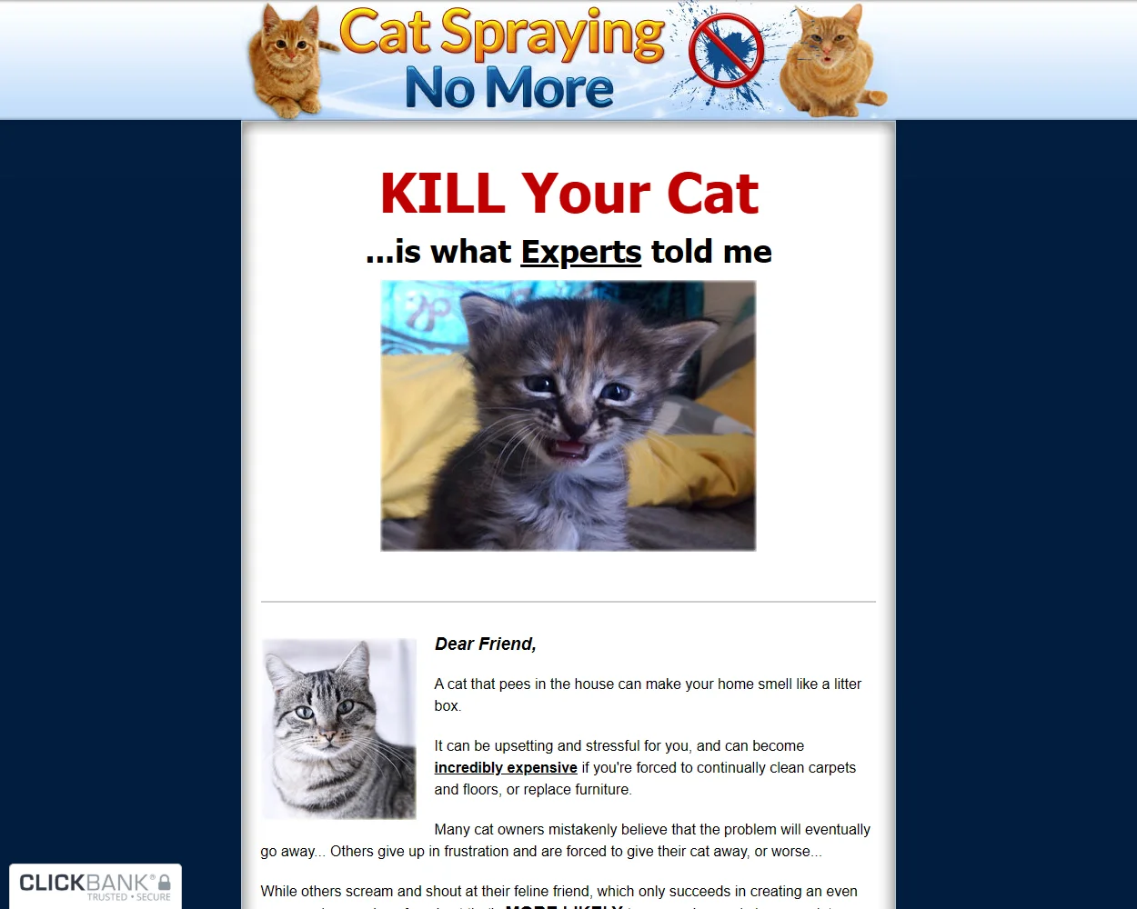 Cat Spraying No More features