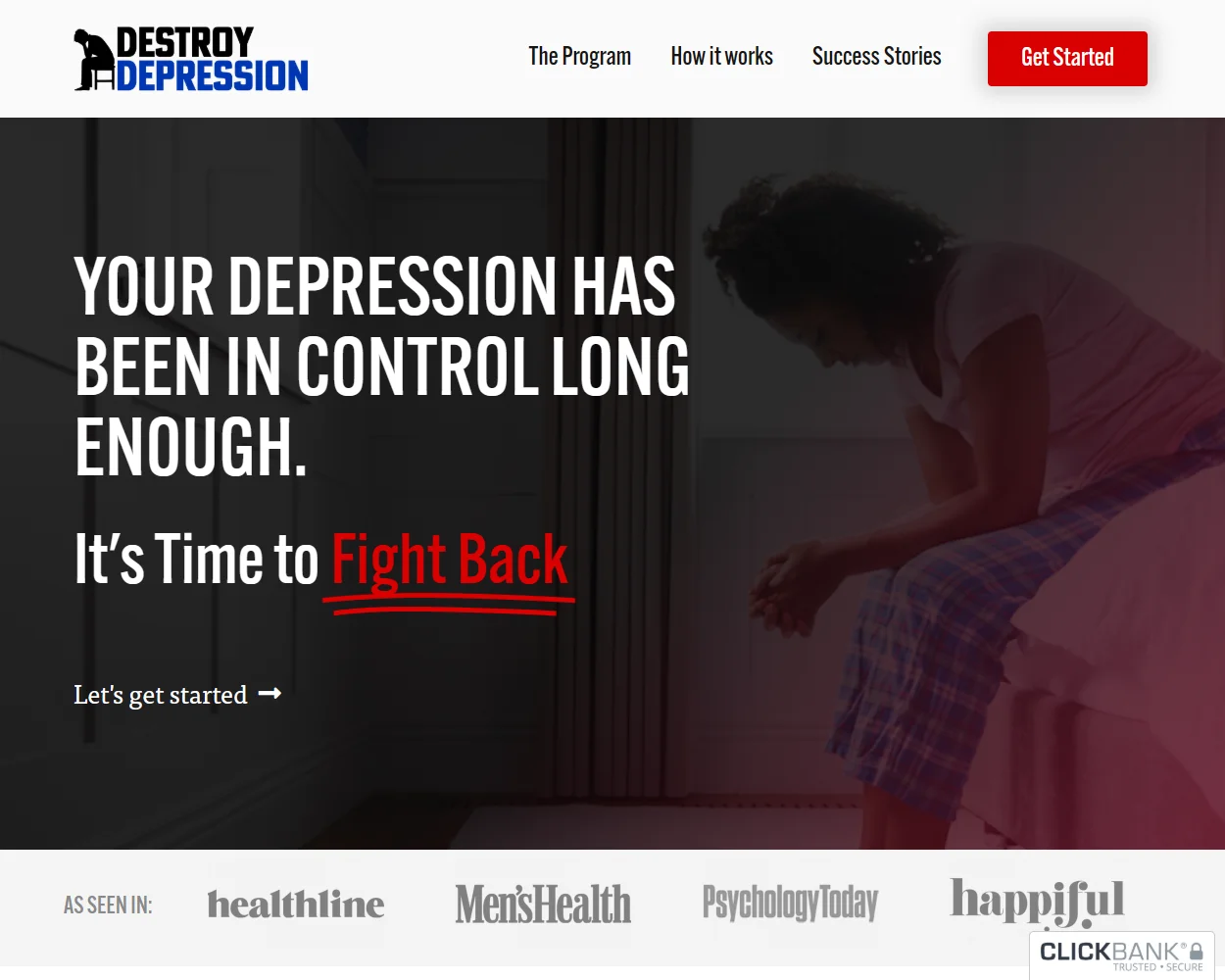 Destroy Depression System features