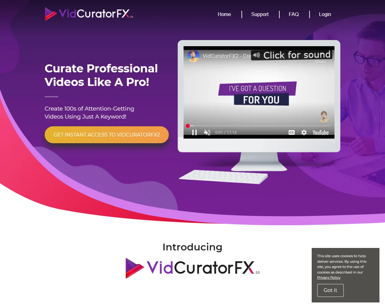 VidCuratorFX2 features
