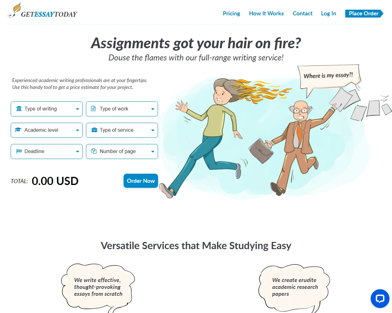 GetEssayToday features