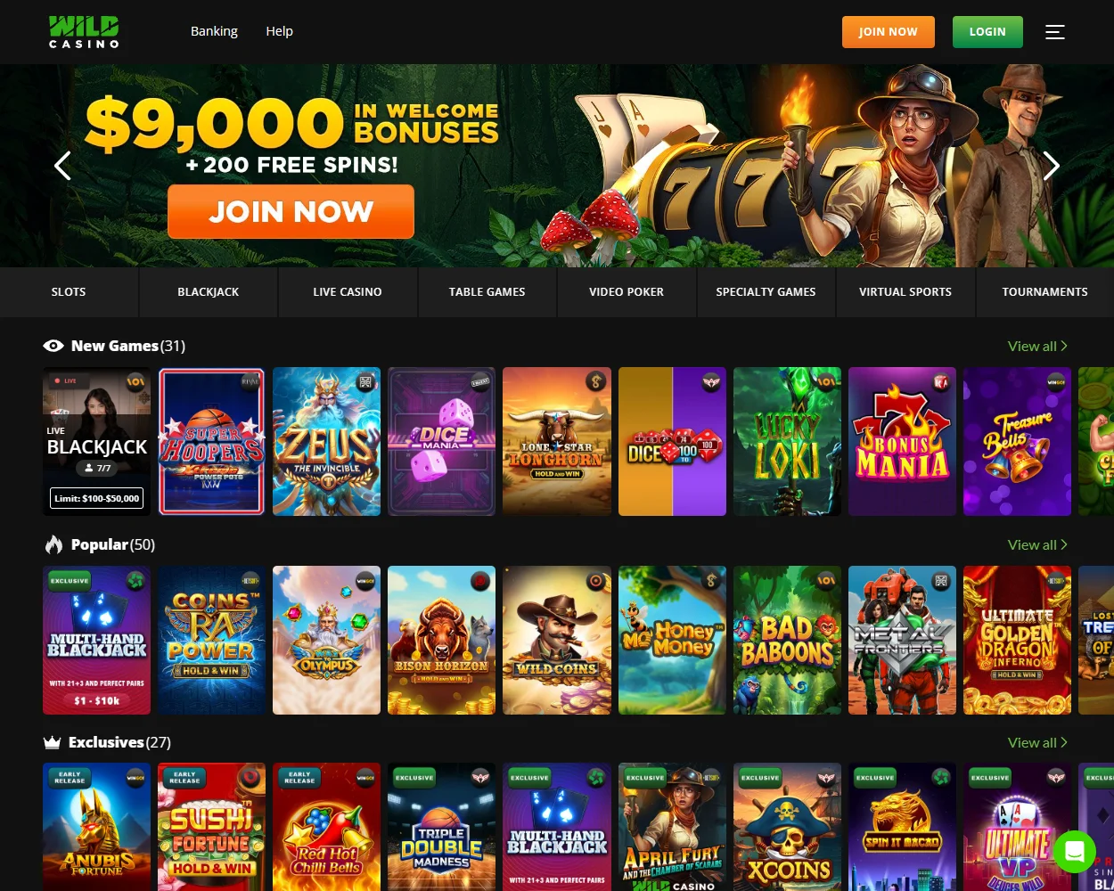 Wild Casino features