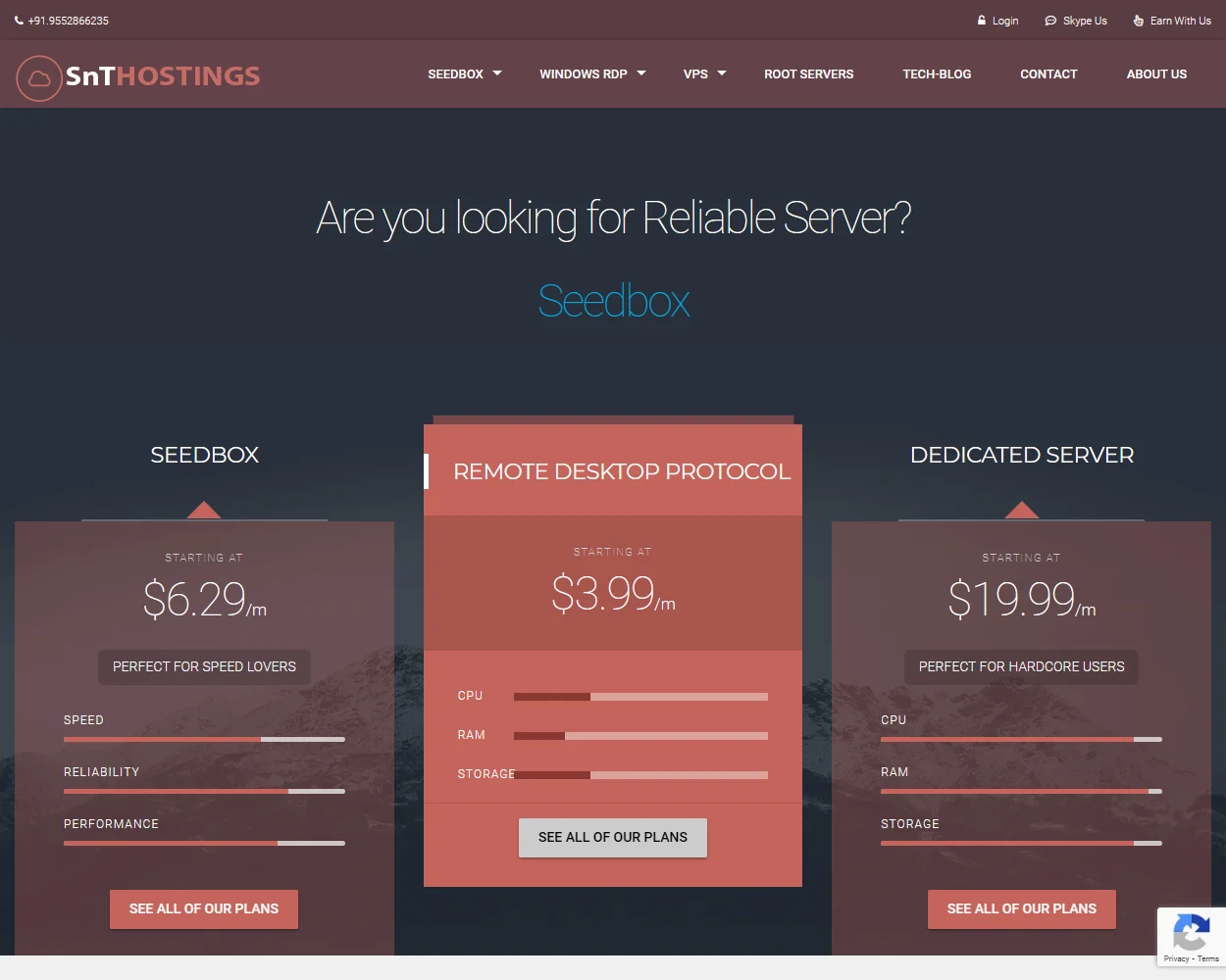 SnTHostings features